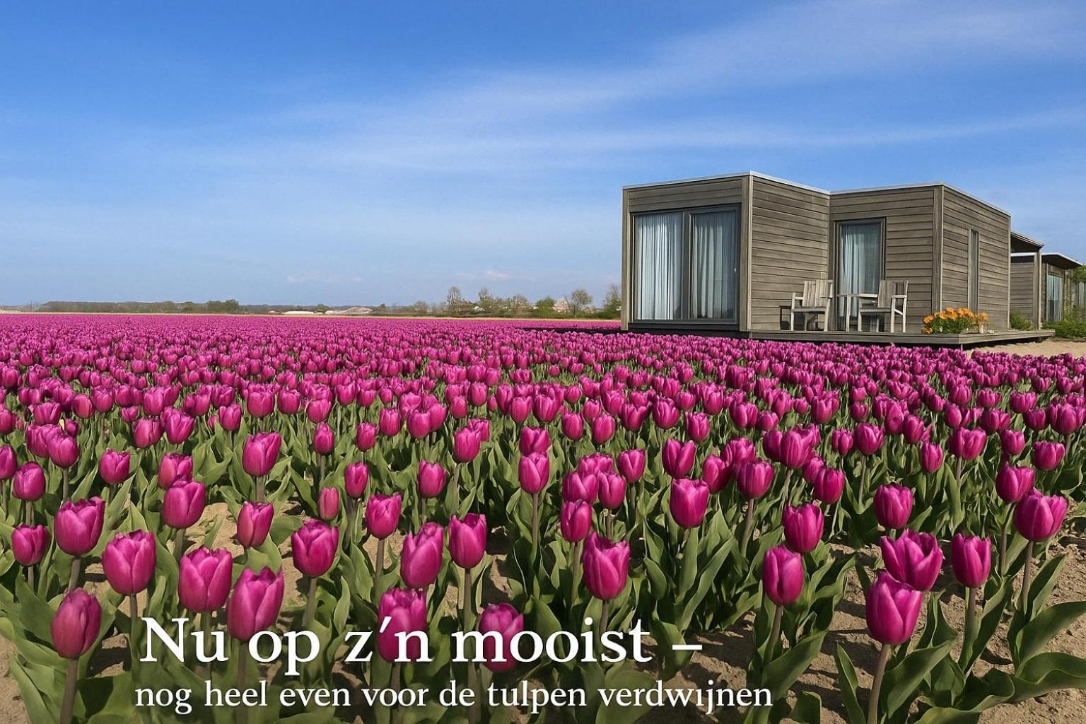 Blossombed Voorhout Exterior foto