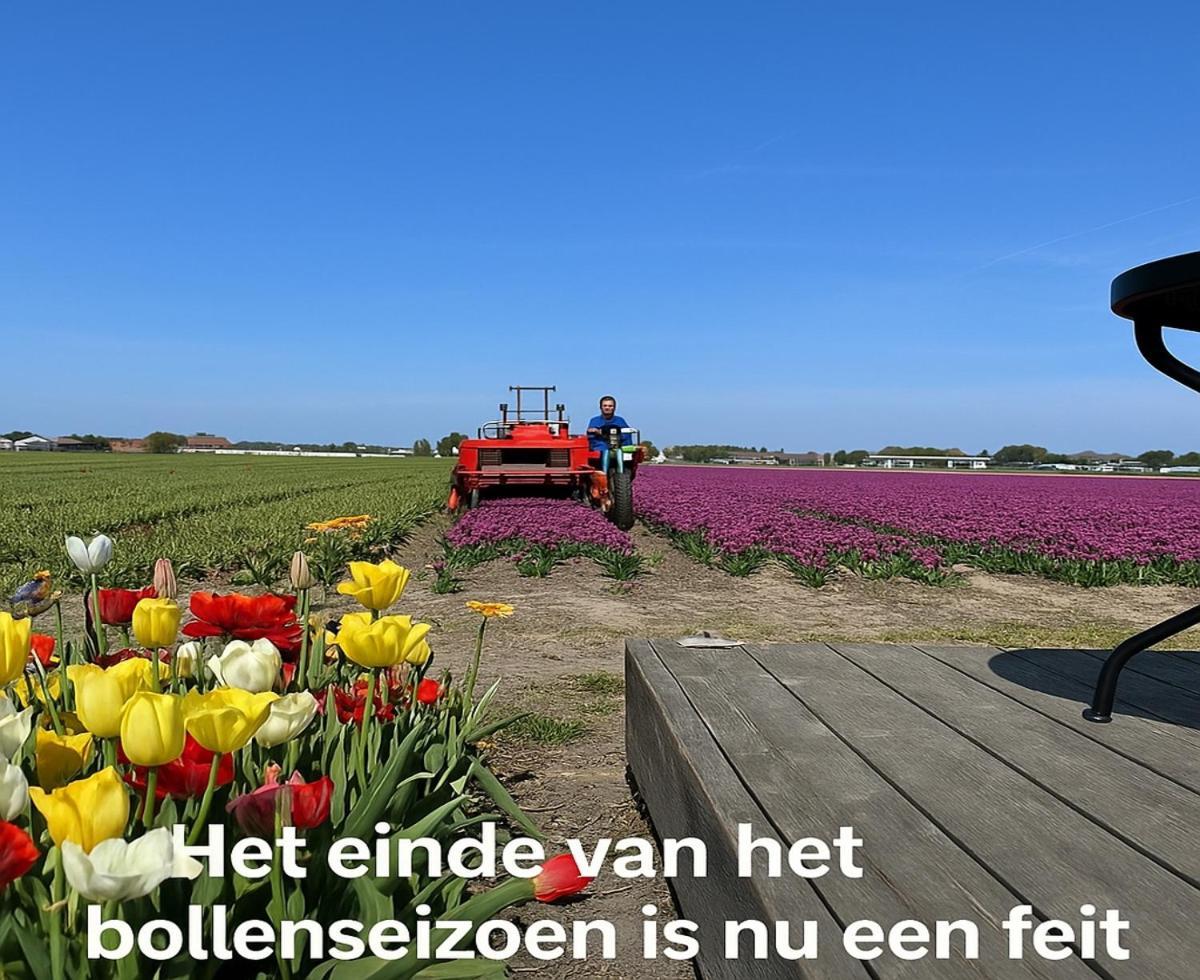 Blossombed Voorhout Exterior foto